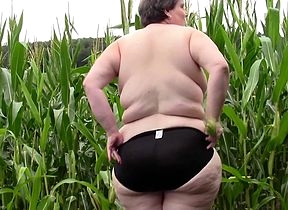 This beamy dam loves fro posture give a cornfield